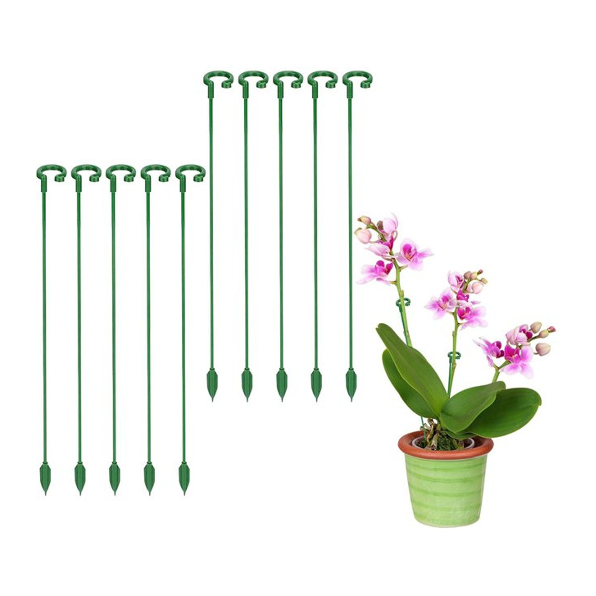 Wiederverwendbare Kunststoff-Pflanzstützen zur Befestigung und zum Schutz von Blumen und Gemüse in der Gartenarbeit - Bild 1