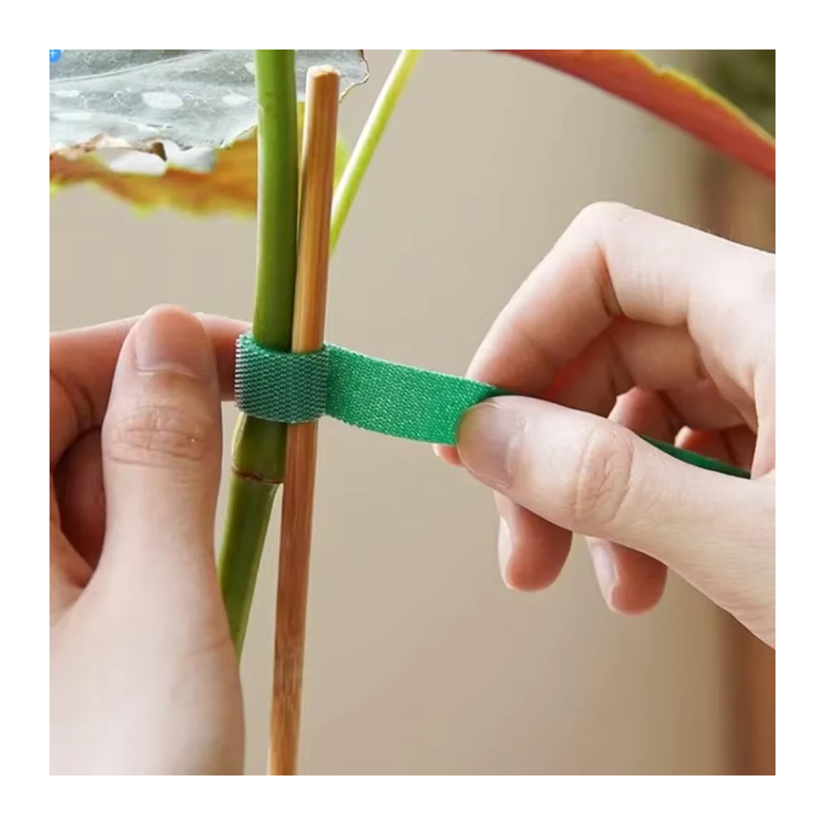 Wiederverwendbare Nylon-Pflanzenbinder mit Hakenschlaufe, 20 m Länge, verstellbare Pflanzenunterstützung für deinen Hausgarten - Bild 3