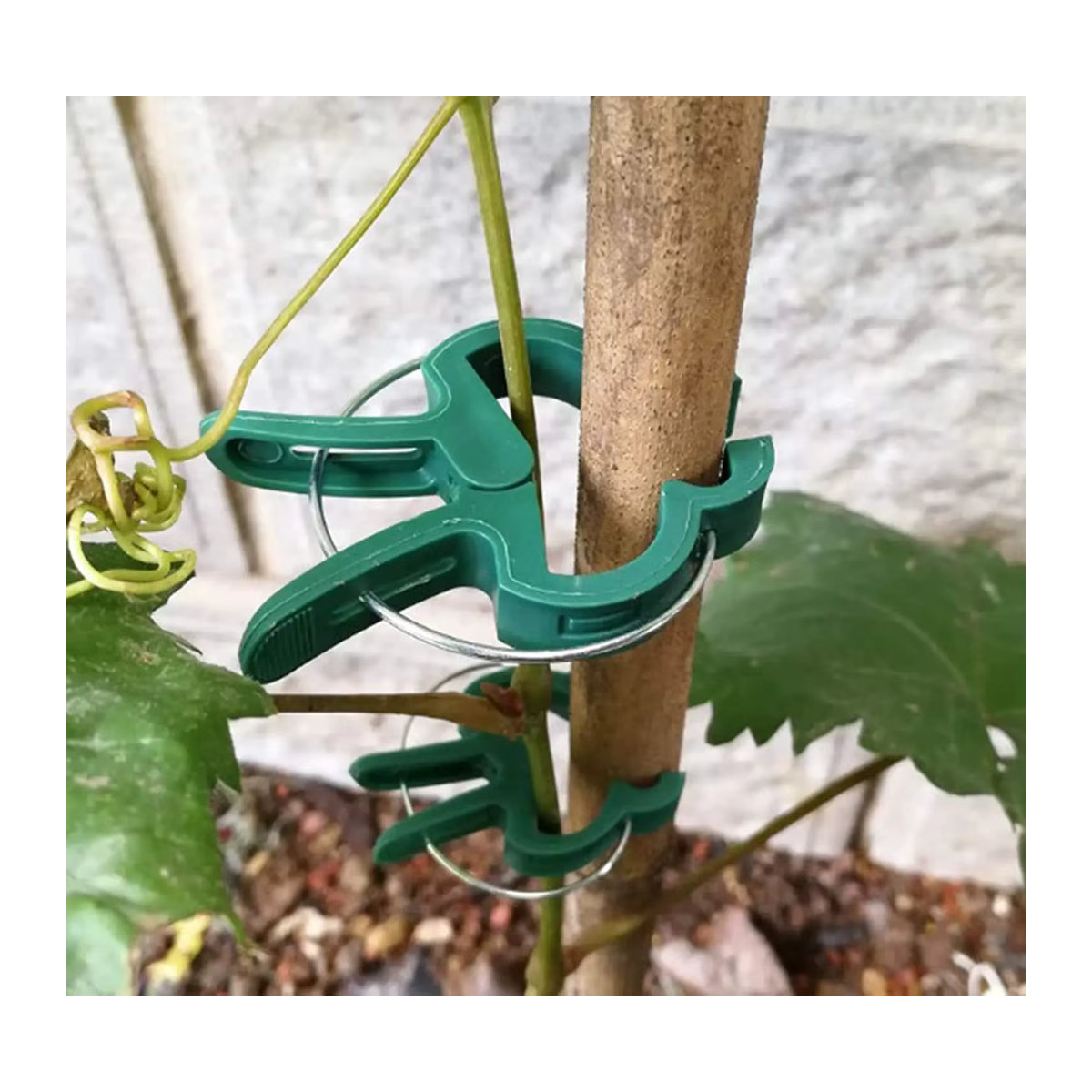 Wiederverwendbare Pflanzenklammern zur Befestigung von Gemüse und Blumen im Garten - Bild 5