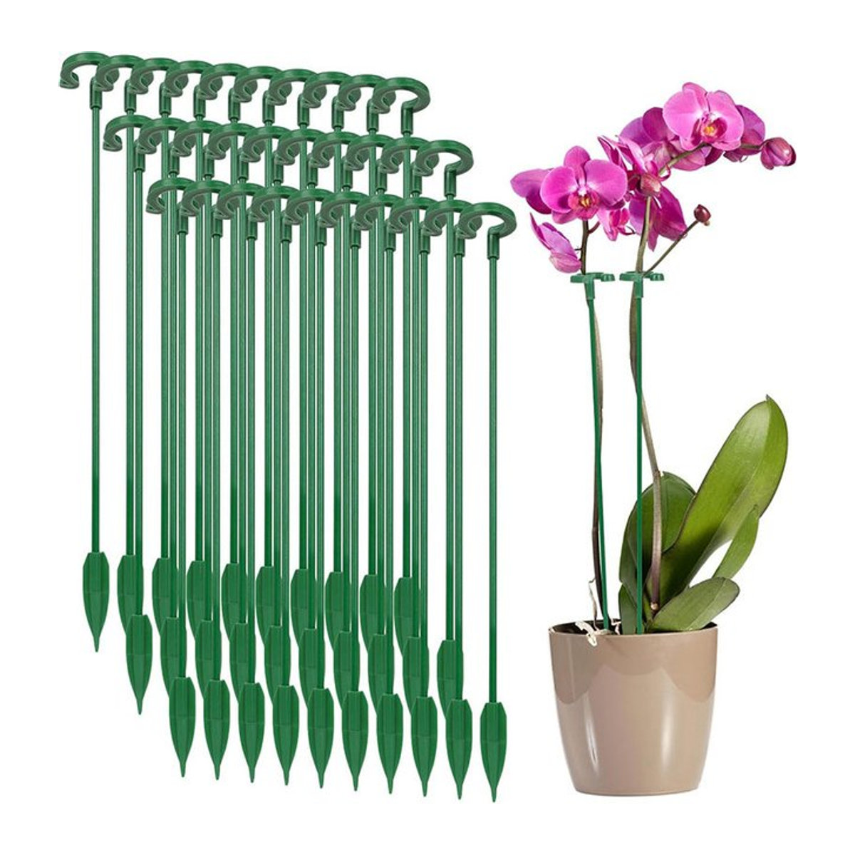 Wiederverwendbare Pflanzstützen aus Kunststoff als Halter und Schutzbefestigung für Blumen und Gartenpflanzen - Bild 1