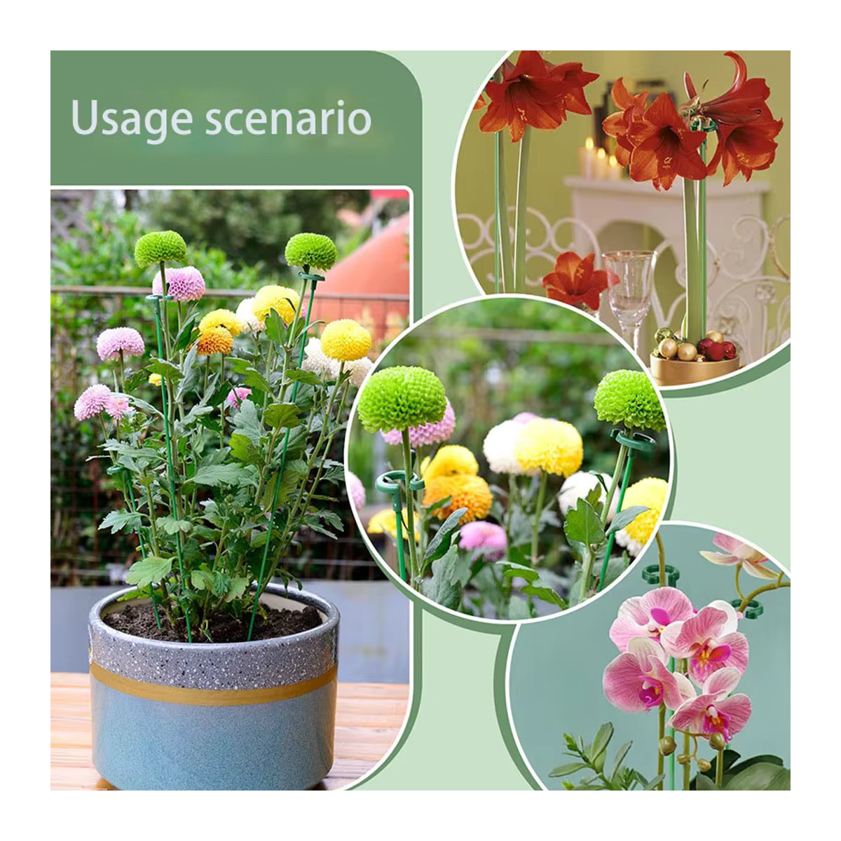 Wiederverwendbare Pflanzstützen aus Kunststoff als Halter und Schutzbefestigung für Blumen und Gartenpflanzen - Bild 3
