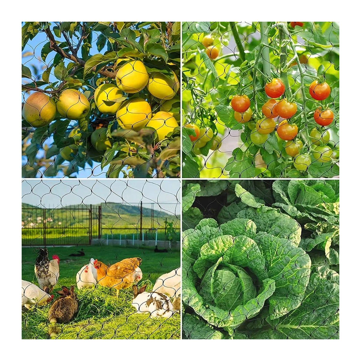 Wiederverwendbares schwarzes Obstbaumnetz zum Schutz von Pflanzen und Gemüse vor Vögeln - Bild 6