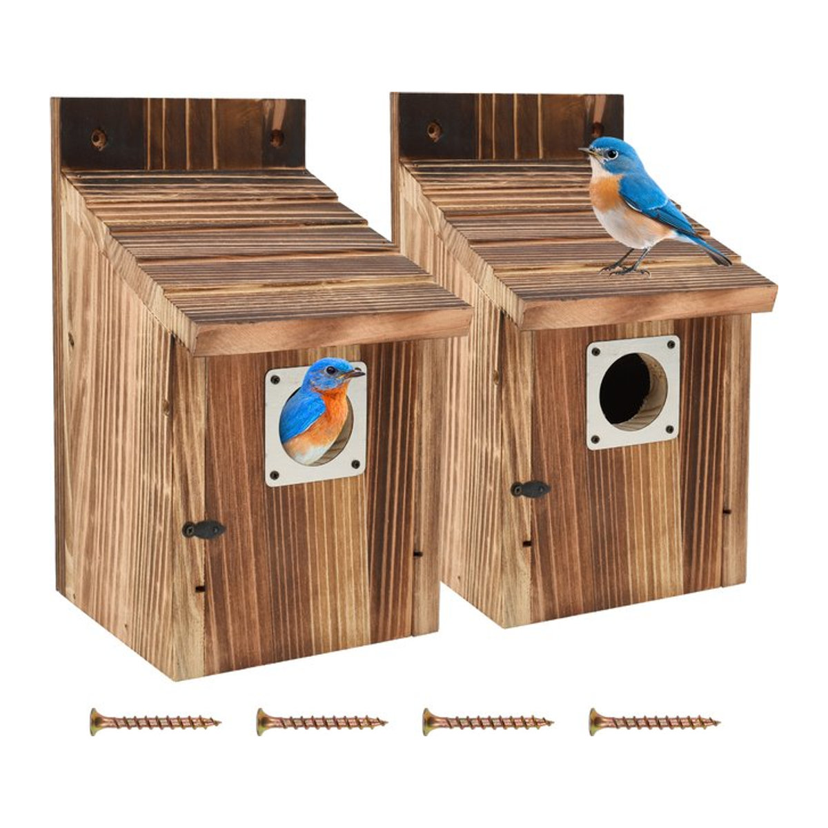 Willstar 2er Set wetterfestes Holz-Vogelhaus als Papageien-Nest und Zuchtbox in Blau und Braun - Bild 1