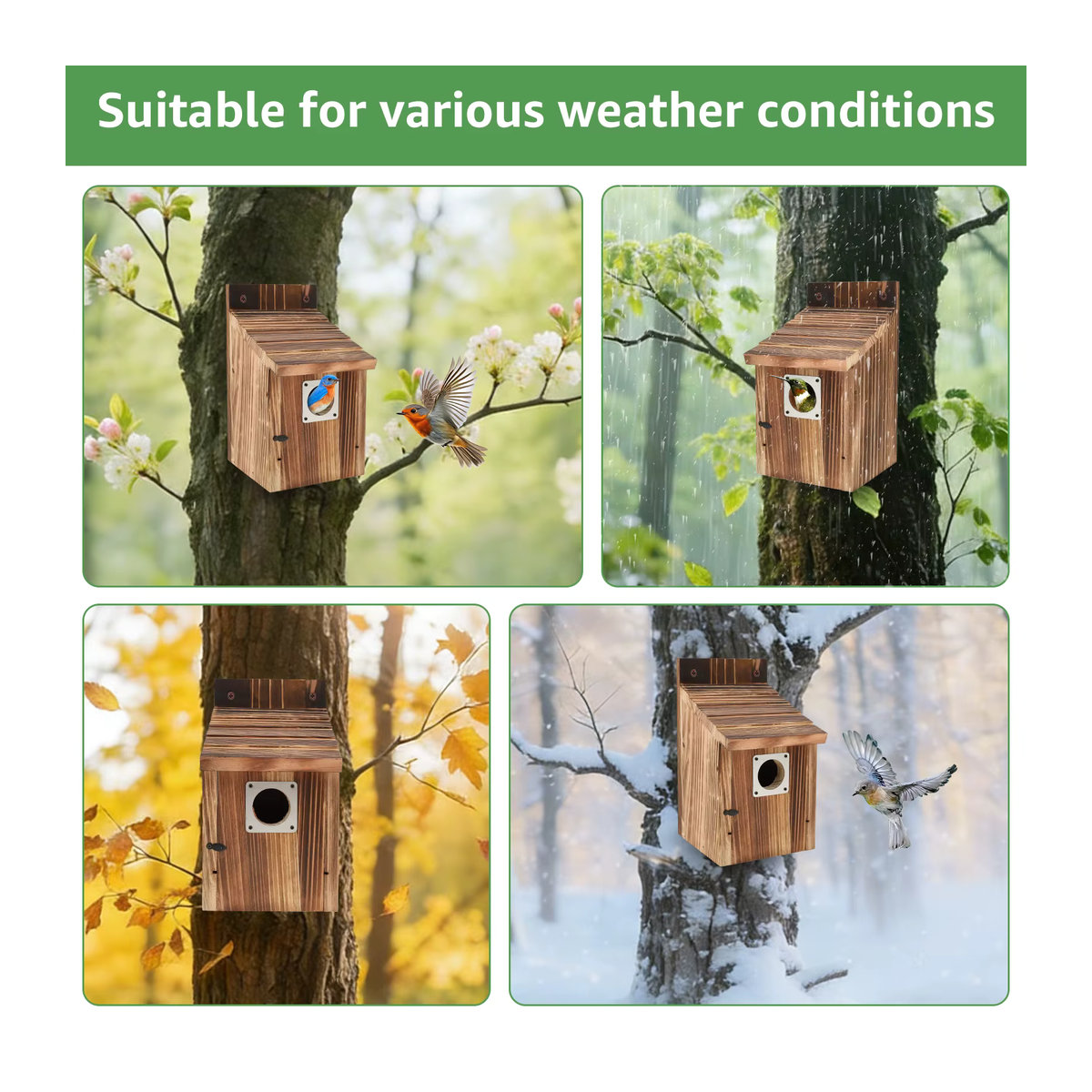 Willstar 2er Set wetterfestes Holz-Vogelhaus als Papageien-Nest und Zuchtbox in Blau und Braun - Bild 4