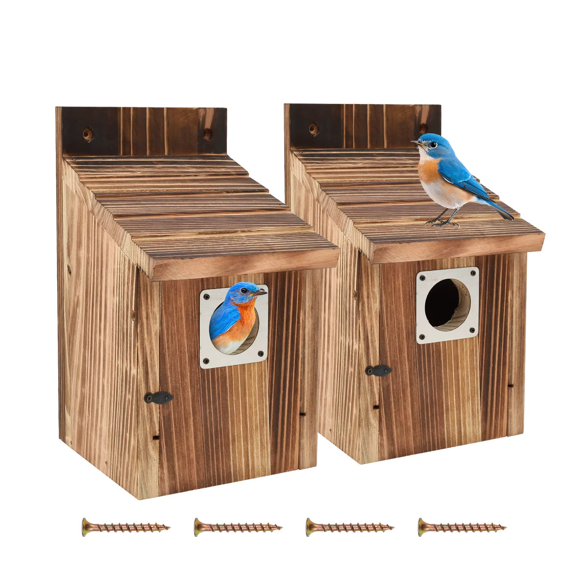 Willstar 2er Set wetterfestes Holz-Vogelhaus als Papageien-Nest und Zuchtbox in Blau und Braun - Bild 7