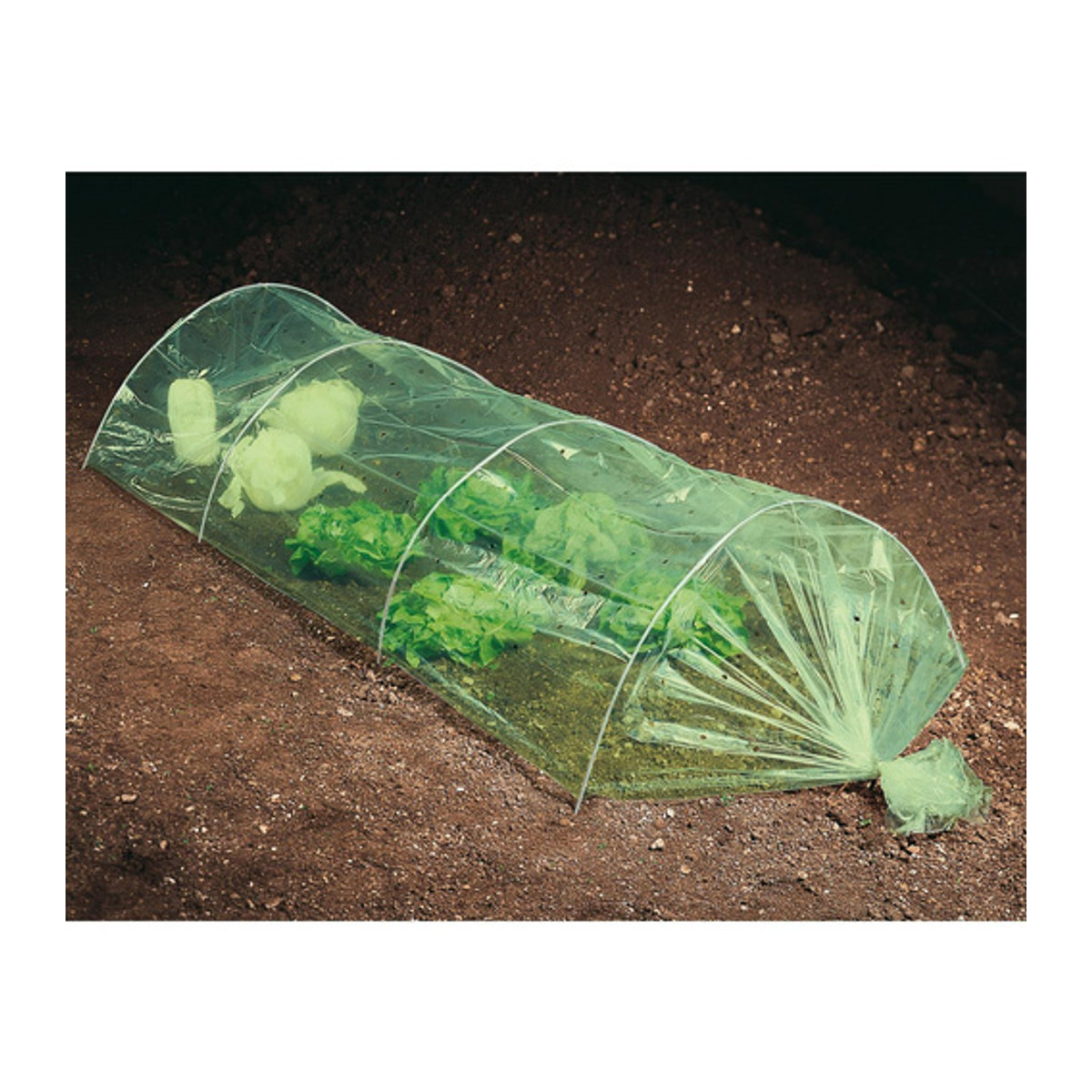 WINDHAGER Folientunnel aus Kunststoff und Metall in Grün und Silber, B/L: 100 x 350 cm - Bild 3