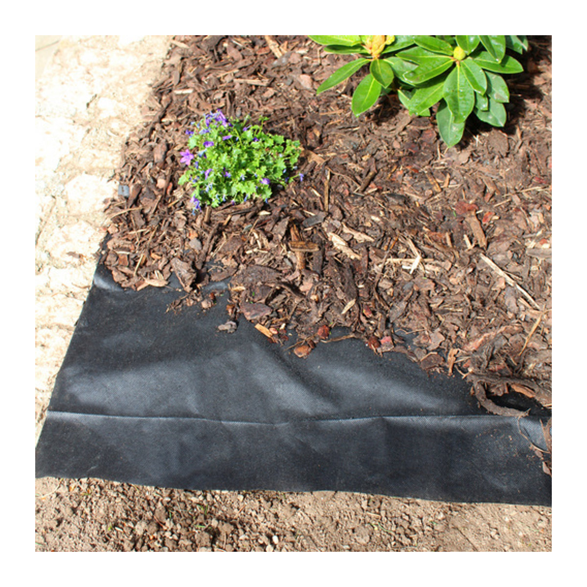 WINDHAGER Unkrautvlies Schwarz, 50 g/m2, 2 x 25 m - Bild 1