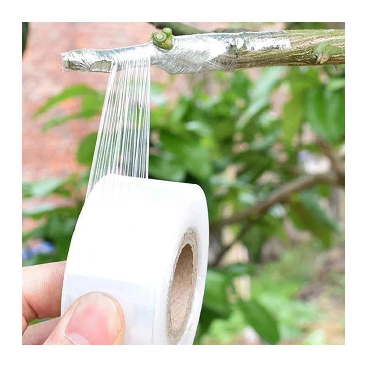 Xiao Home PE-Pfropfbandfolie selbstklebend für Garten und Pflanzen, 2 cm x 120 m pro Rolle - Bild 7