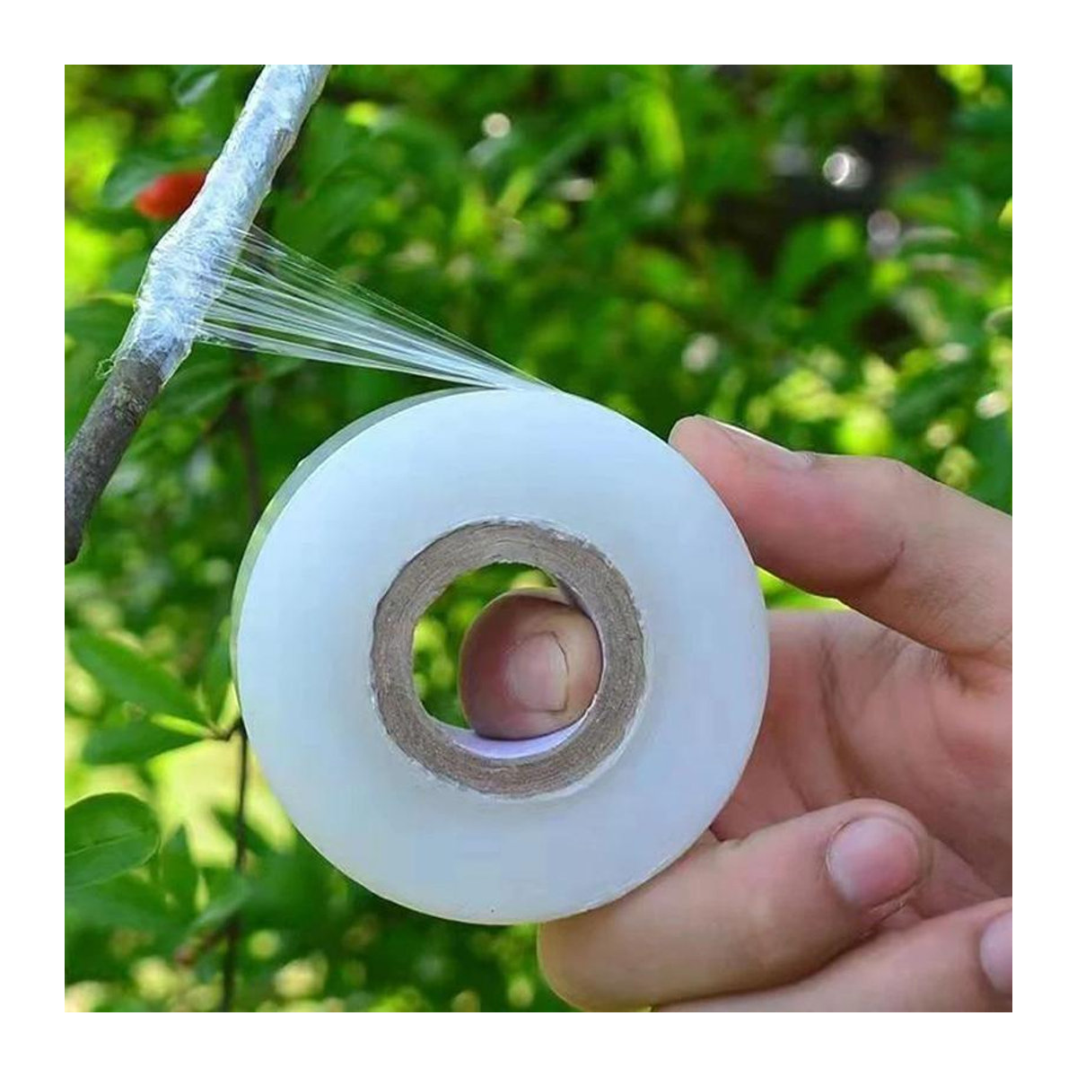 Xiao Home PE-Pfropfbandfolie selbstklebend für Garten und Pflanzen, 2 cm x 120 m pro Rolle - Bild 8