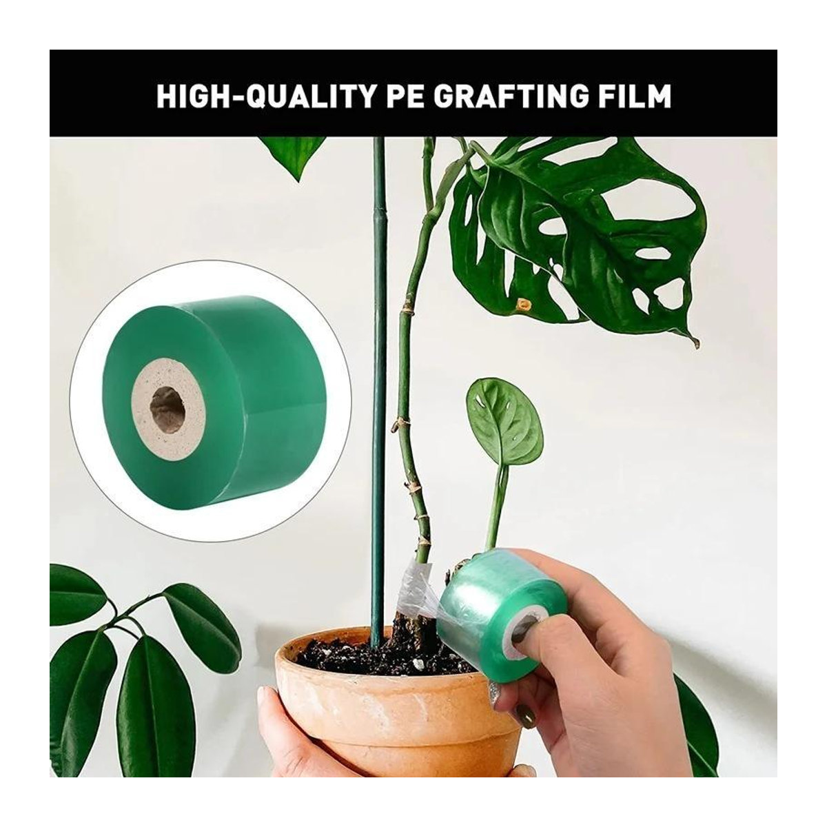 Xiao Home PE-Pfropfbandfolie selbstklebend für Garten und Pflanzen, 2 cm x 120 m pro Rolle - Bild 10