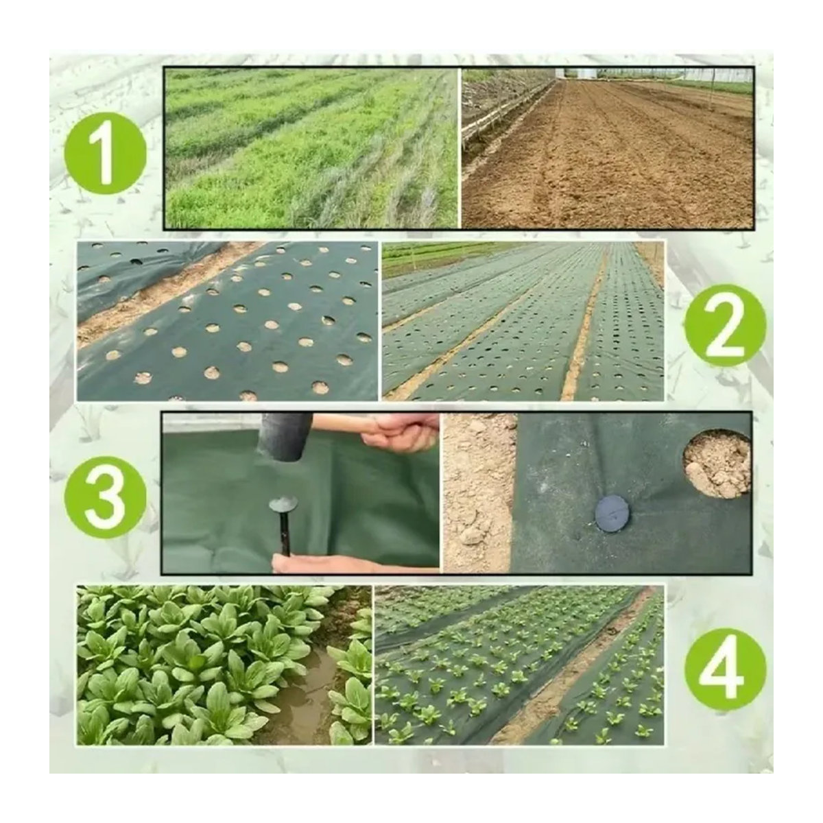 Xinfudi Biologisch abbaubares Unkrautvlies mit vorgefertigten Löchern zur Unkrautbekämpfung und als Bodendecker, Breite: 60 cm, Länge: 500 cm - Bild 3