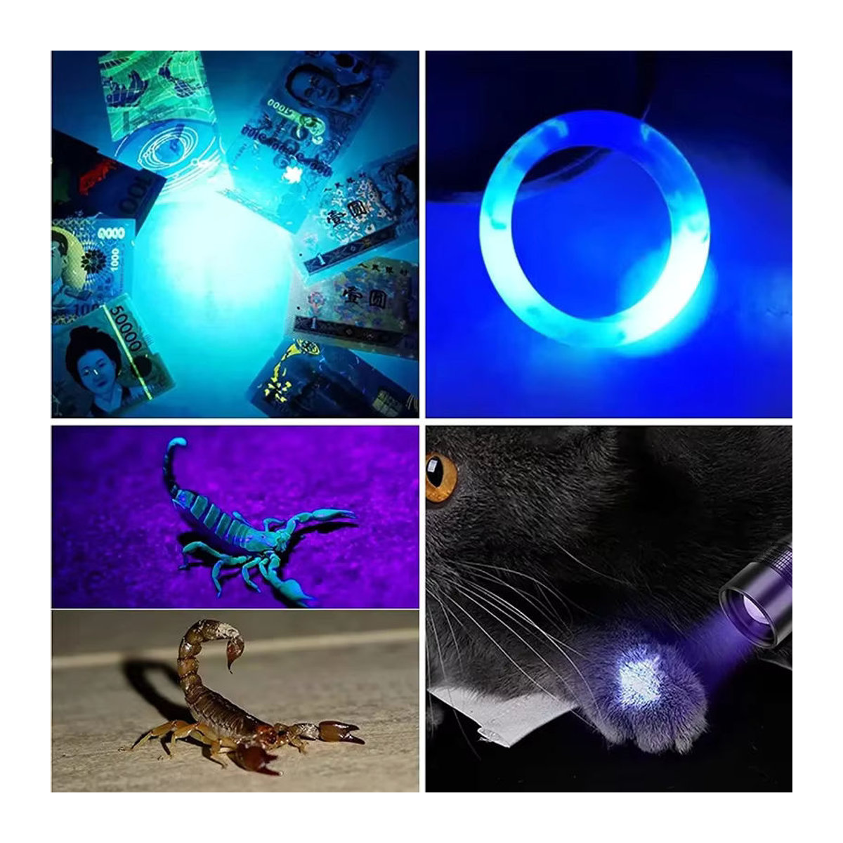 XIWANGFIRE LED-UV-Taschenlampe mit 365 nm Schwarzlicht, USB wiederaufladbar für Camping und Haustierreinigung - Bild 6