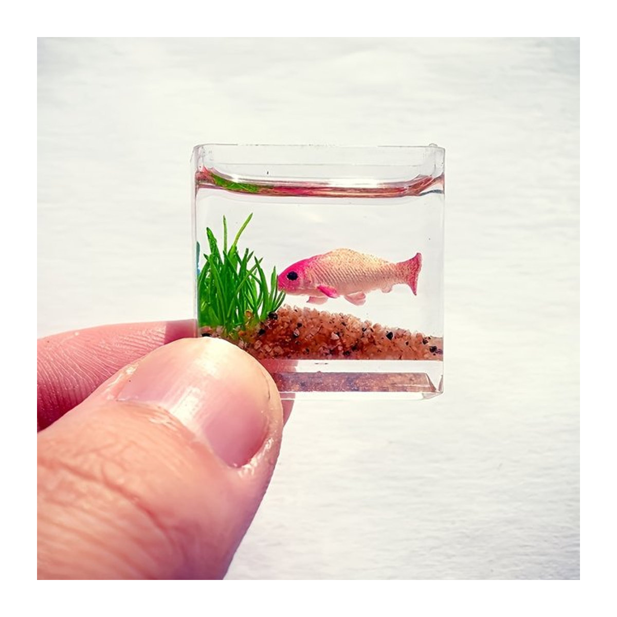 XYTLEZONE Mini-Aquarium aus Glas in transparent, quadratisch - Bild 1