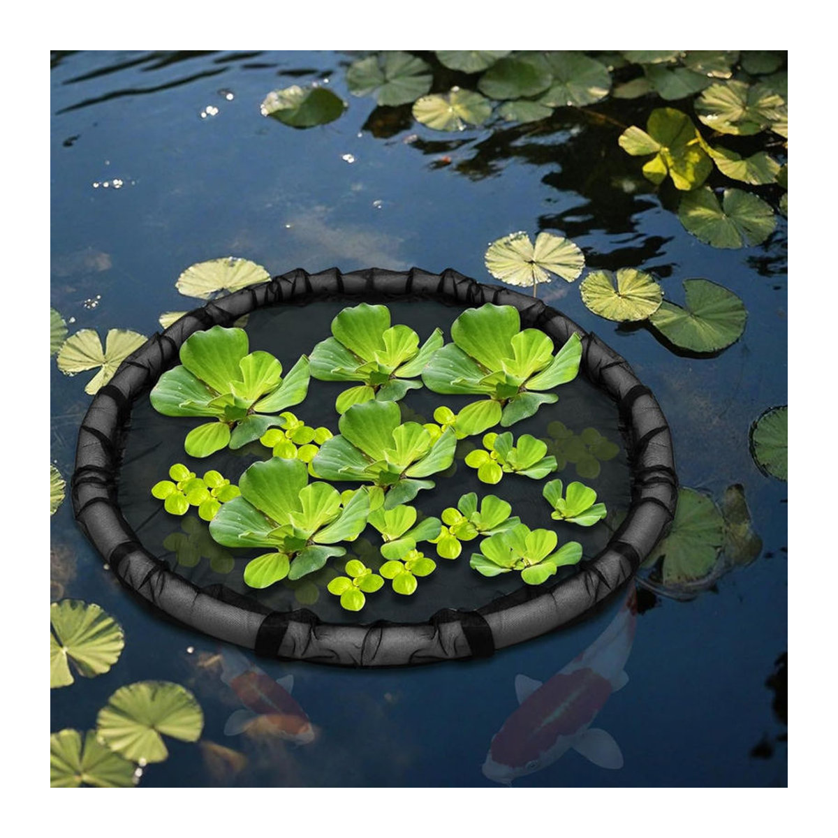 YDM Beauty Life Runde schwimmende Flora-Fischbarriere in Schwarz mit Durchmesser: 80 cm - Bild 4