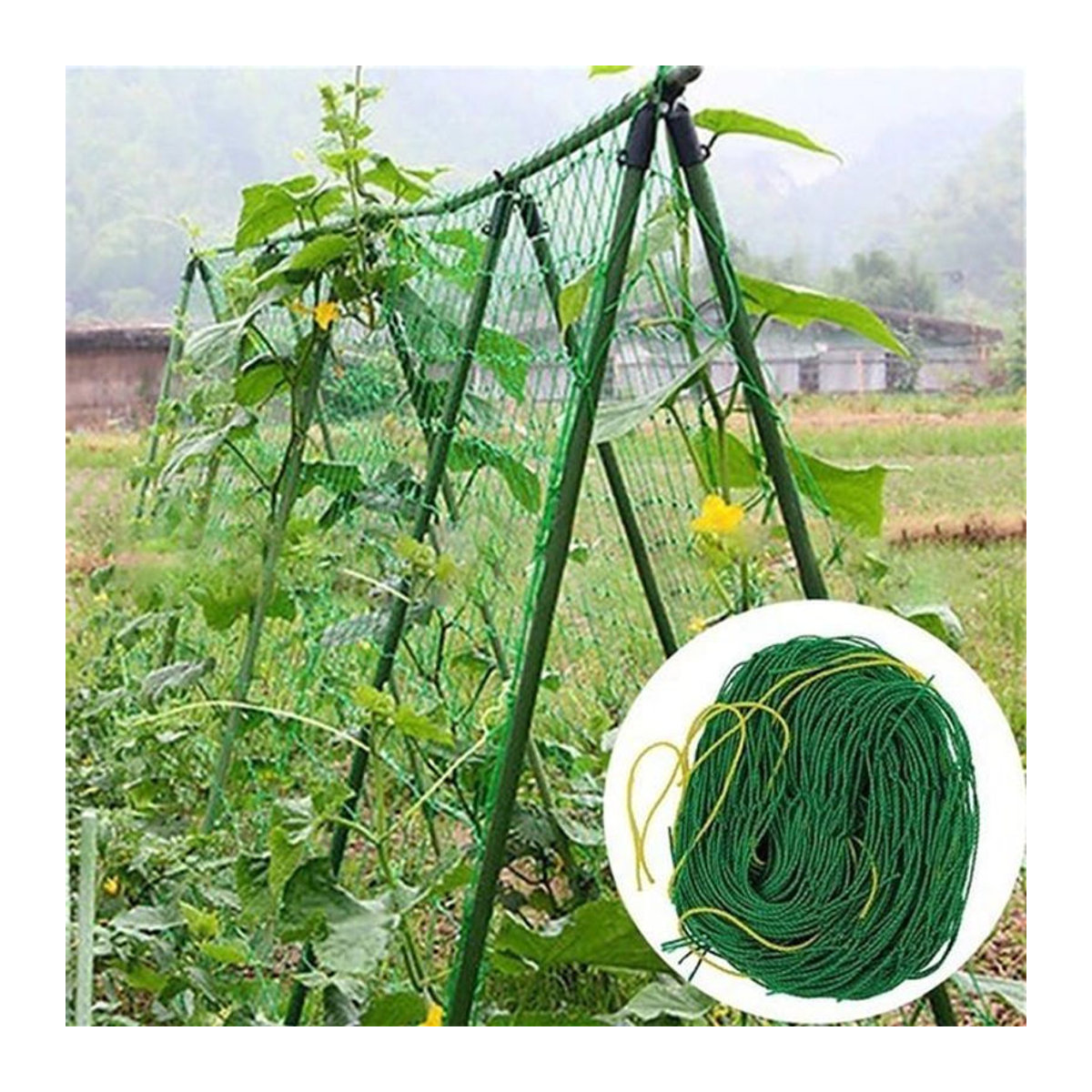 YJSTY Gartenpflanzen Kletternetz mit 27 Strängen aus Kunststoff, Grün, B: 180 cm, H: 90 cm - Bild 1