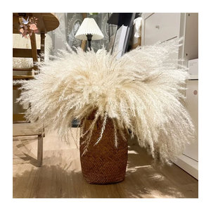 YN HI FLOWER Beige Getrockneter Pampasgras Blumenstrauß im Bohemian Stil für Hochzeiten und DIY Dekorationen