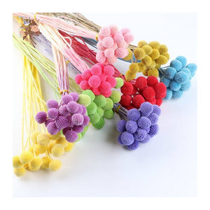 YN HI FLOWER ENJOY YOUR LIFE Craspedia Globosa Trockenblumen Billy Button Kugeln in Beige und Mehrfarbig für Hochzeitsdekoration und Boho-Arrangements