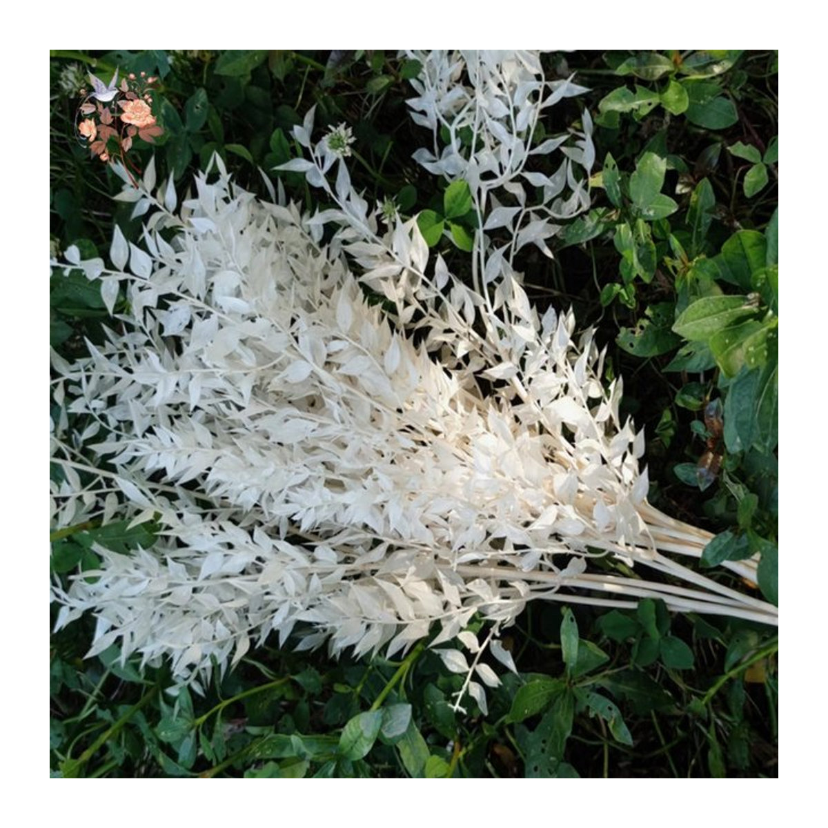 YN HI FLOWER getrocknete Ruscus Blätter und Eukalyptus Zweige für Hochzeits- und Weihnachtsdekoration in Gold und Weiß - Bild 1