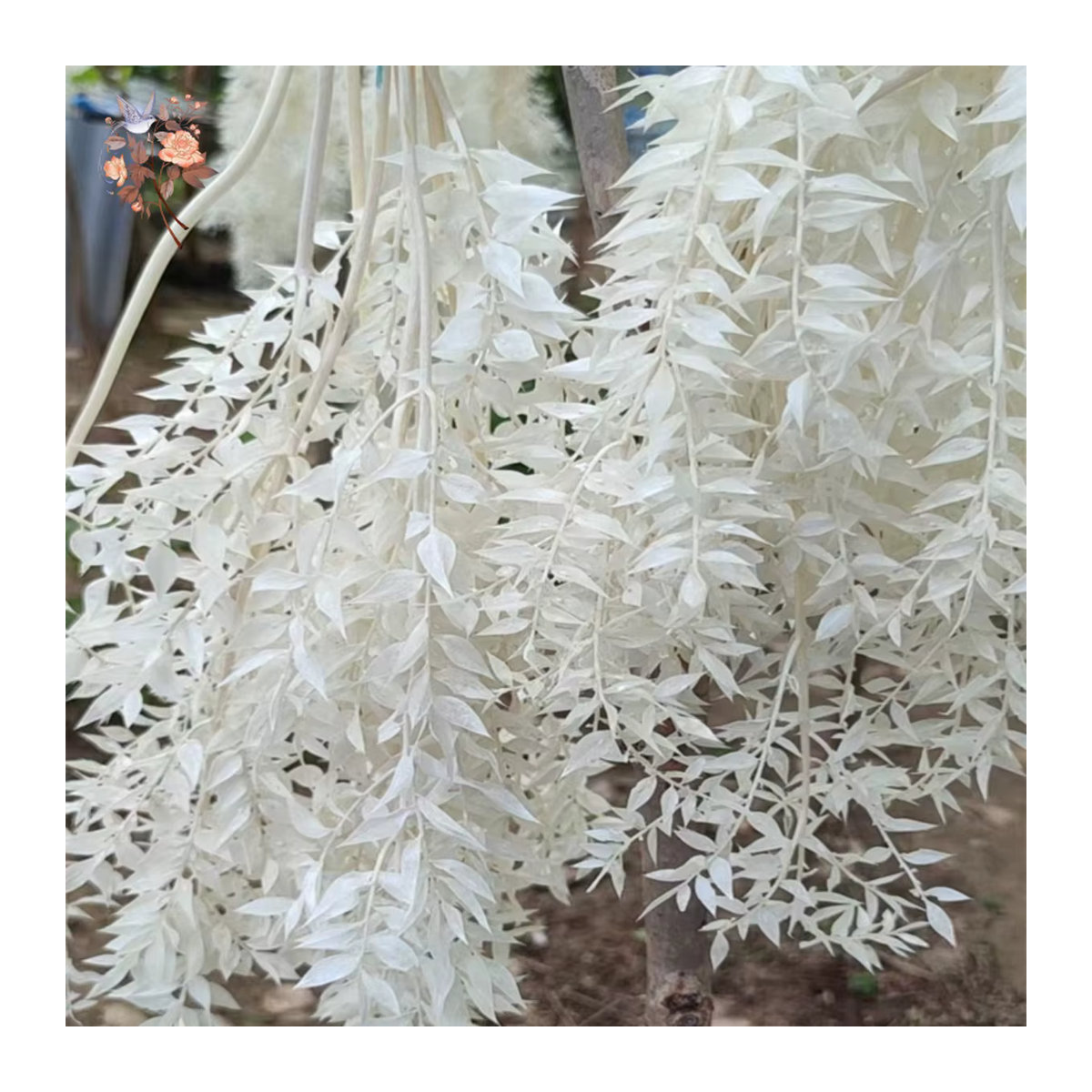 YN HI FLOWER getrocknete Ruscus Blätter und Eukalyptus Zweige für Hochzeits- und Weihnachtsdekoration in Gold und Weiß - Bild 3