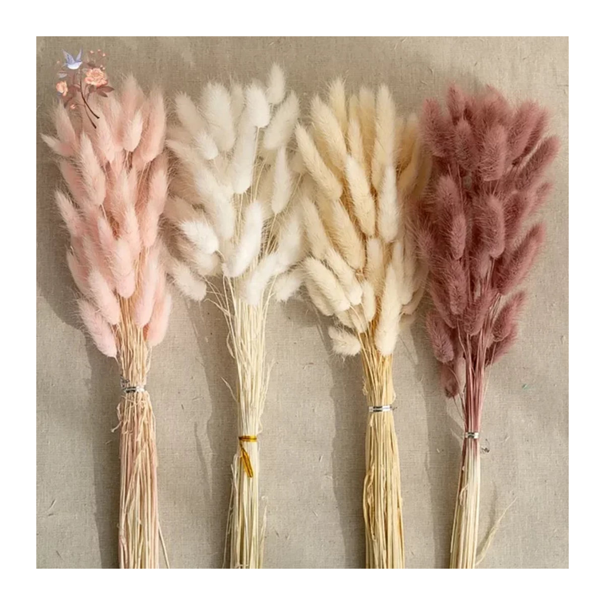 YN HI FLOWER getrocknetes Hasenschwanzgras Lagurus Ovatus in Beige und Mehrfarbig für Hochzeitsarrangements und Heimdekoration, 50 Stück - Bild 1
