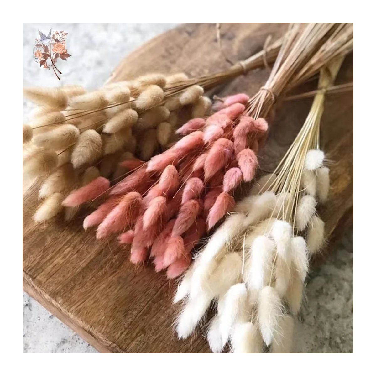 YN HI FLOWER getrocknetes Hasenschwanzgras Lagurus Ovatus in Beige und Mehrfarbig für Hochzeitsarrangements und Heimdekoration, 50 Stück - Bild 2