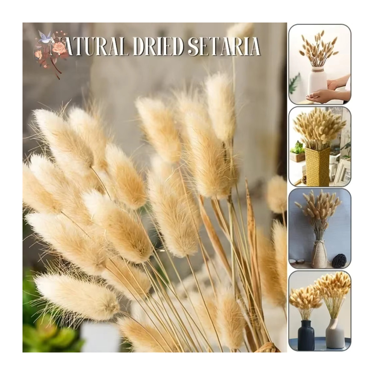 YN HI FLOWER getrocknetes Hasenschwanzgras Lagurus Ovatus in Beige und Mehrfarbig für Hochzeitsarrangements und Heimdekoration, 50 Stück - Bild 3