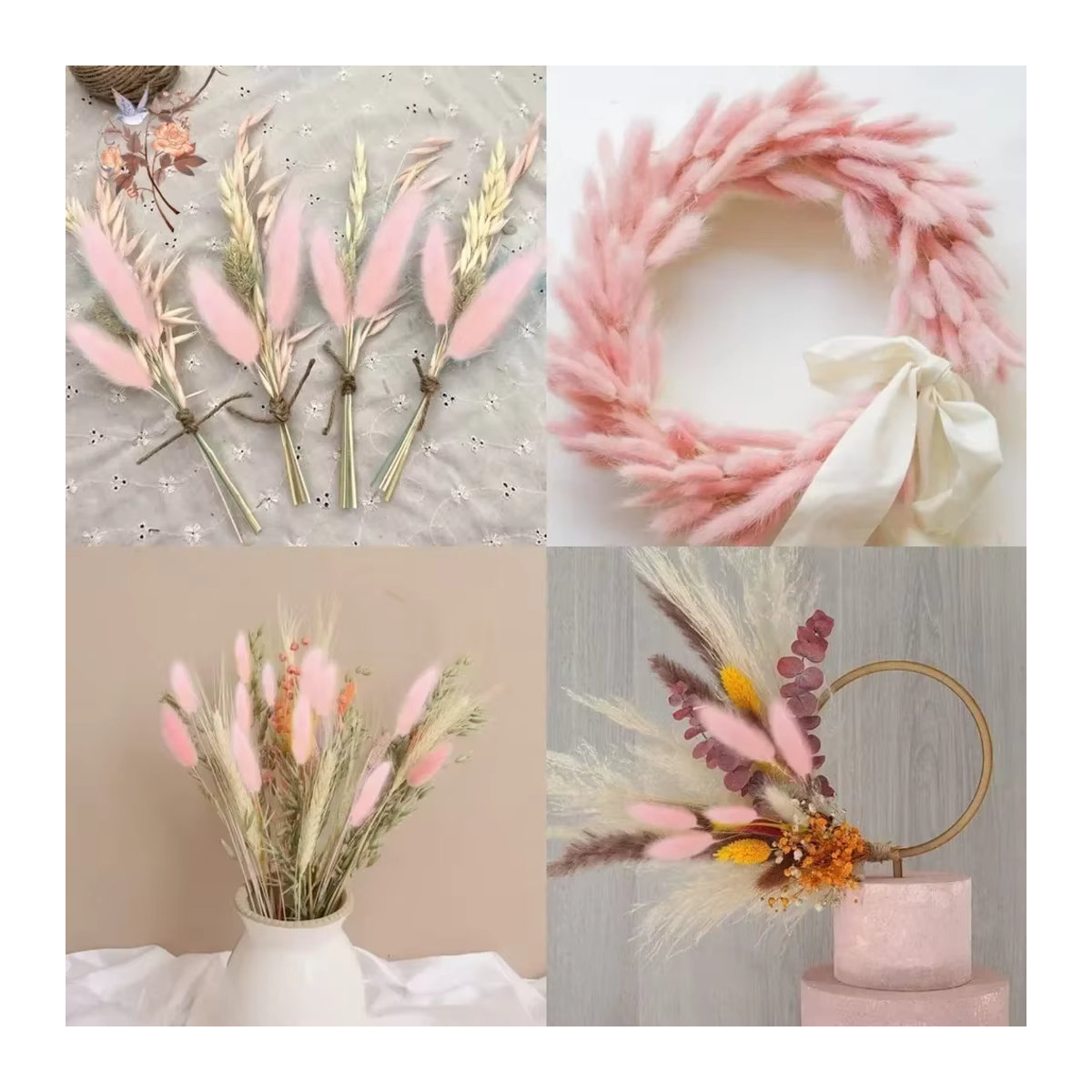 YN HI FLOWER getrocknetes Hasenschwanzgras Lagurus Ovatus in Beige und Mehrfarbig für Hochzeitsarrangements und Heimdekoration, 50 Stück - Bild 4