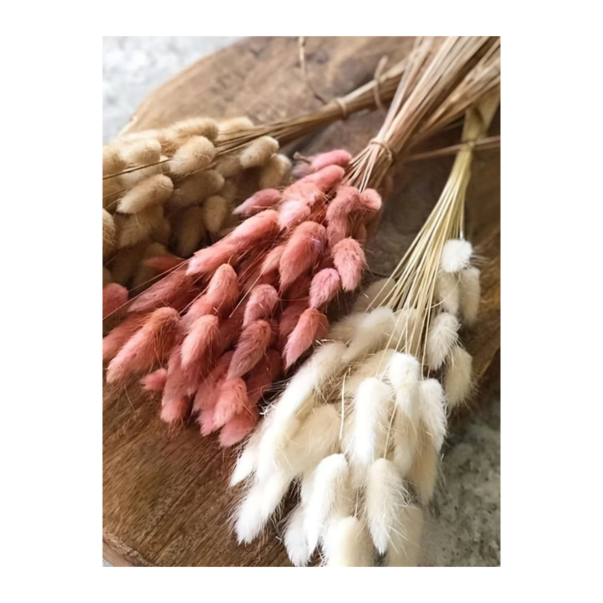YN HI FLOWER getrocknetes Hasenschwanzgras Lagurus Ovatus in Beige und Mehrfarbig für Hochzeitsarrangements und Heimdekoration, 50 Stück - Bild 5