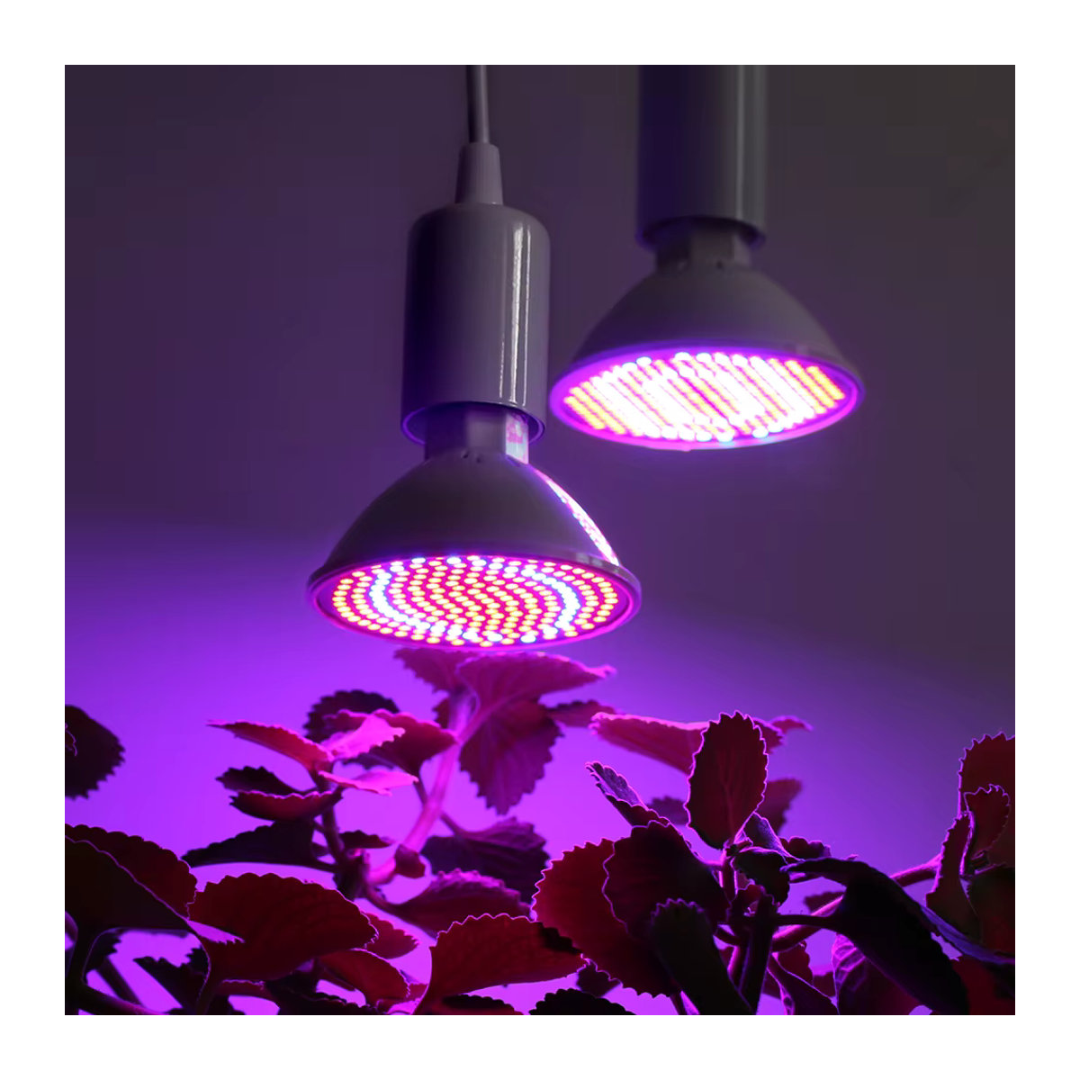 YNL E27 LED Pflanzenlampe Vollspektrum Phyto-Strahler für Indoor Hydrokultur und Sämlinge - Bild 4