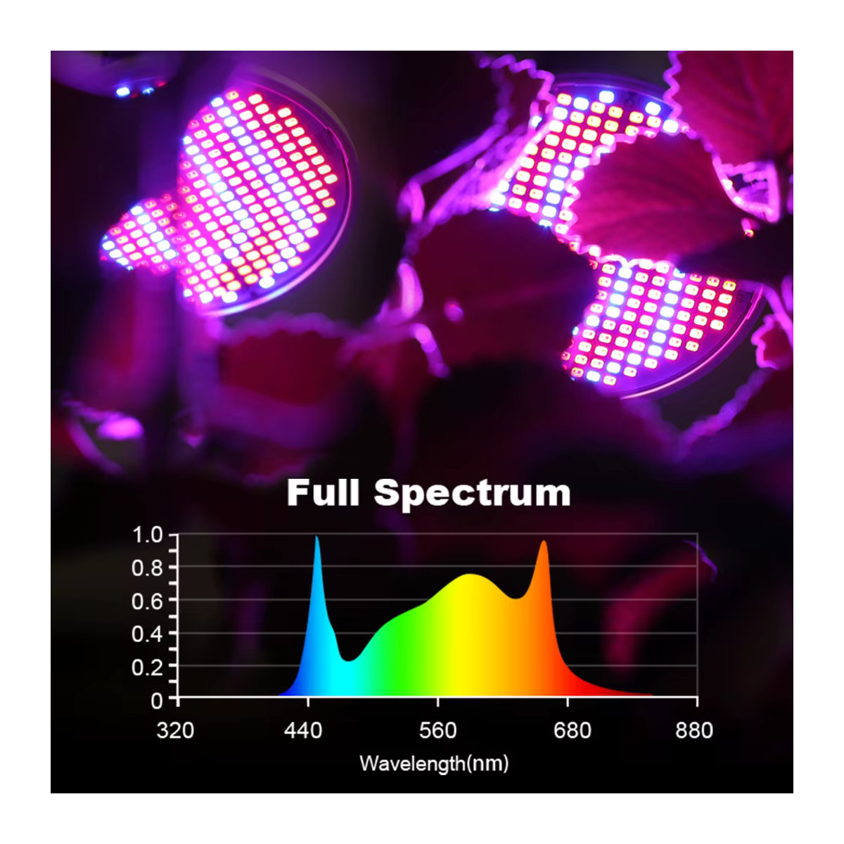 YNL E27 LED Pflanzenlampe Vollspektrum Phyto-Strahler für Indoor Hydrokultur und Sämlinge - Bild 5