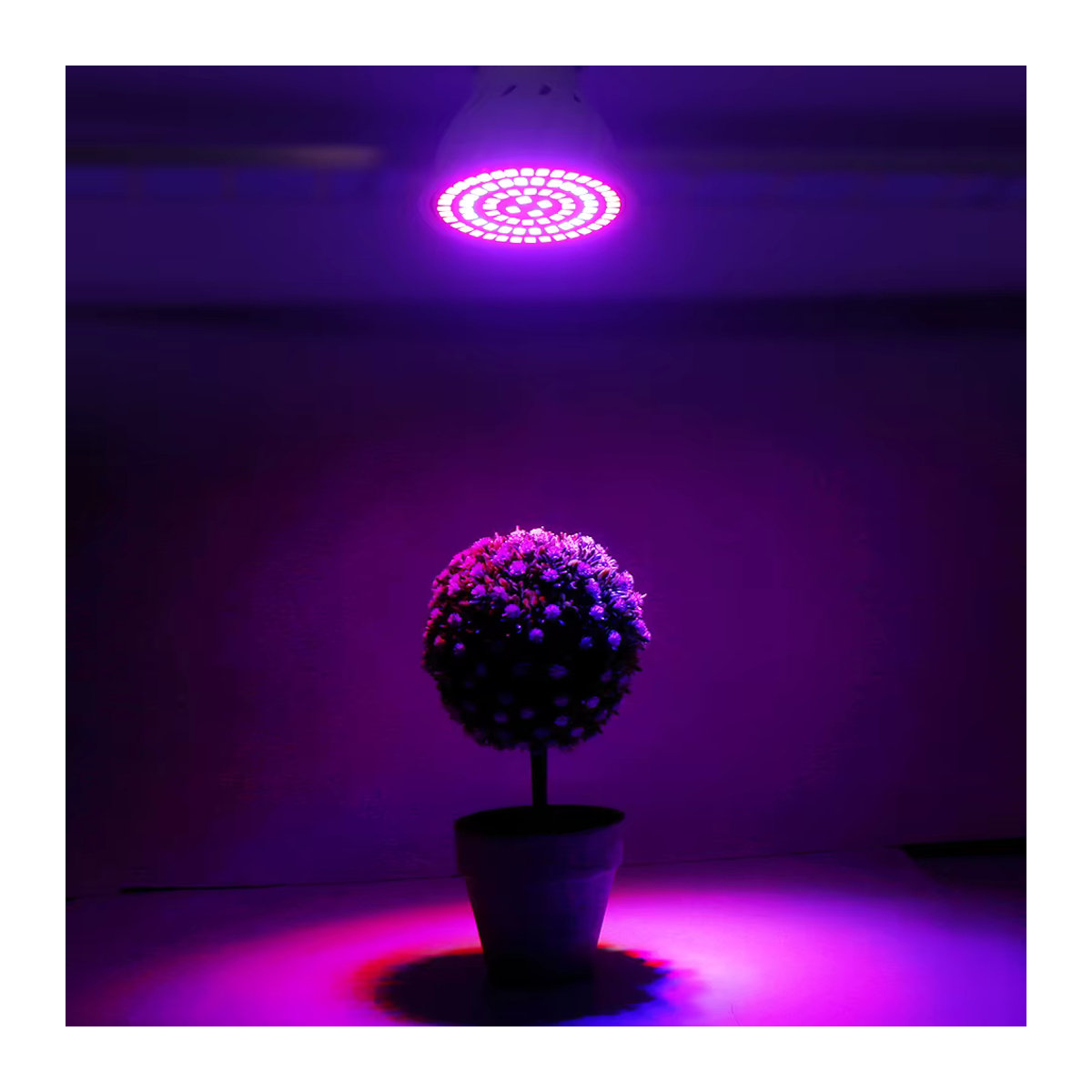 YNL LED Pflanzenlampe E27 Vollspektrum mit 60 bis 80 LEDs für Gewächshaus, Hydrokultur und Zimmerpflanzen, 220 V - Bild 6