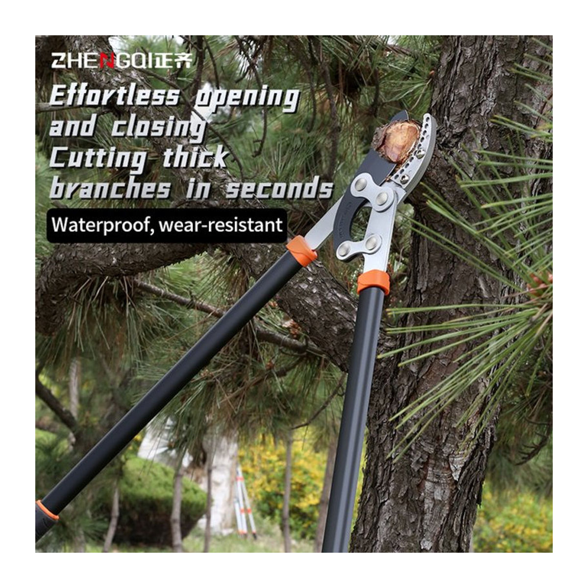 ZHENG QI Gartenzweigschere aus SK5 Stahl für professionelle Gartenarbeit und Obstbäume - Bild 1