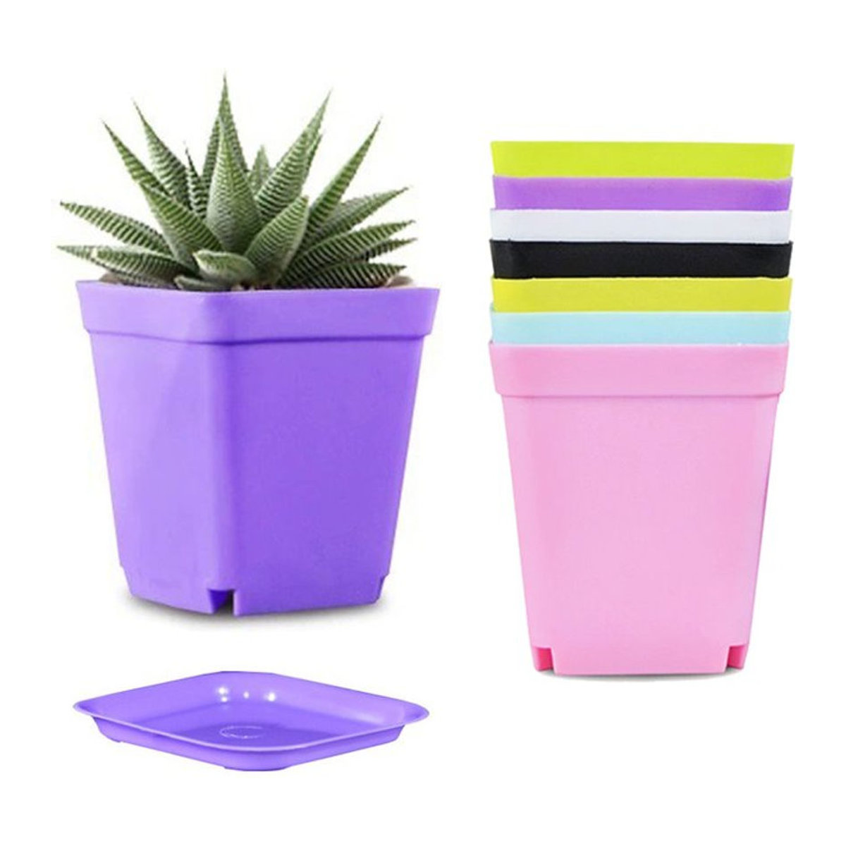 ZYF 10er Set Mini Kunststoff Blumentöpfe in bunten Farben mit Entwässerungslöchern für Sukkulenten und Garten - Bild 1