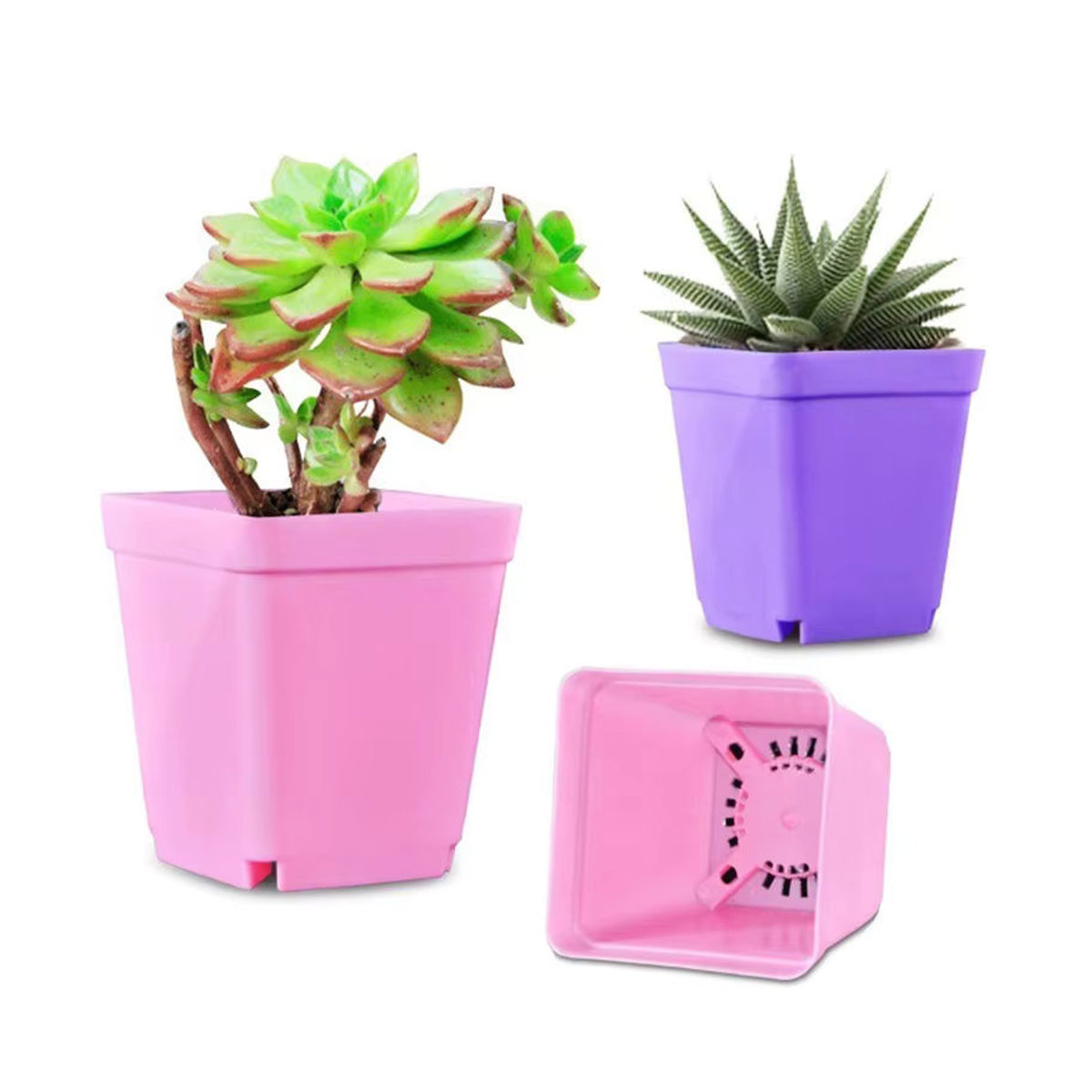 ZYF 10er Set Mini Kunststoff Blumentöpfe in bunten Farben mit Entwässerungslöchern für Sukkulenten und Garten - Bild 5
