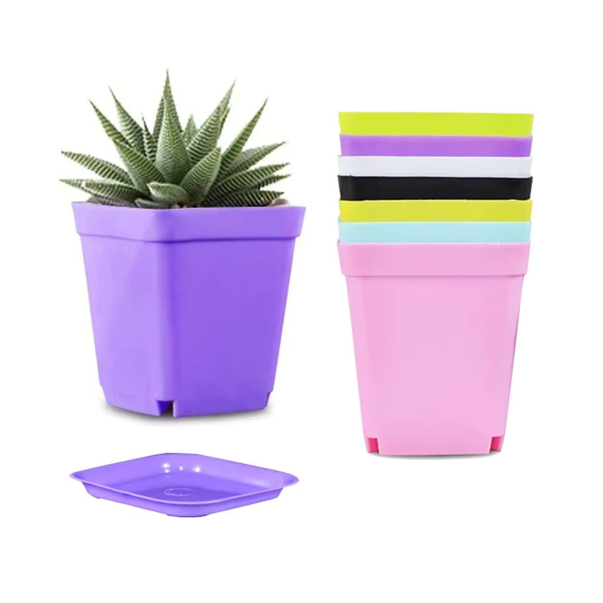ZYF 10er Set Mini Kunststoff Blumentöpfe in bunten Farben mit Entwässerungslöchern für Sukkulenten und Garten - Bild 6
