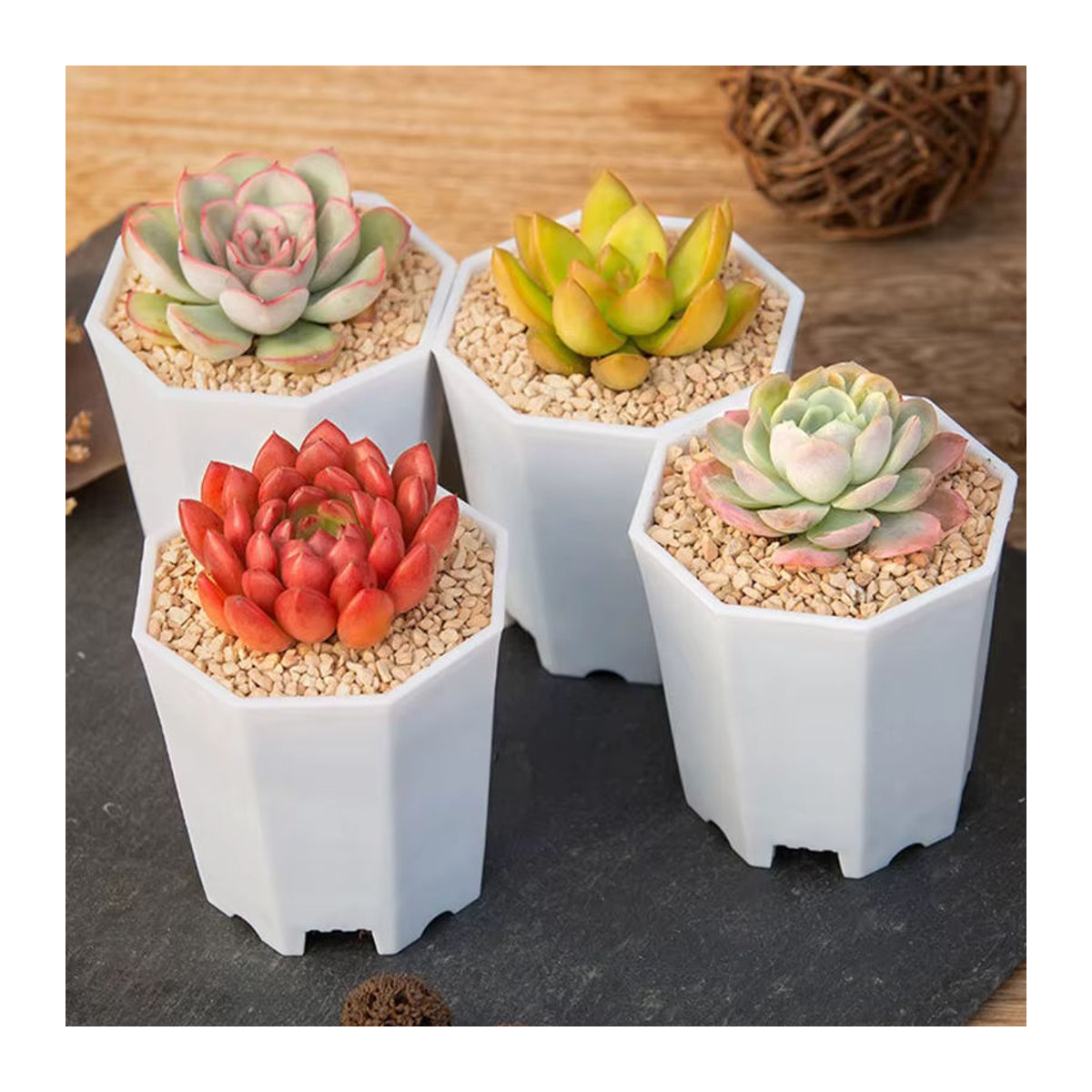 ZYF 20-teiliges achteckiges Blumentopf-Set aus Kunststoff in Weiß mit Entwässerungslöchern für Innen und Außen - Bild 3