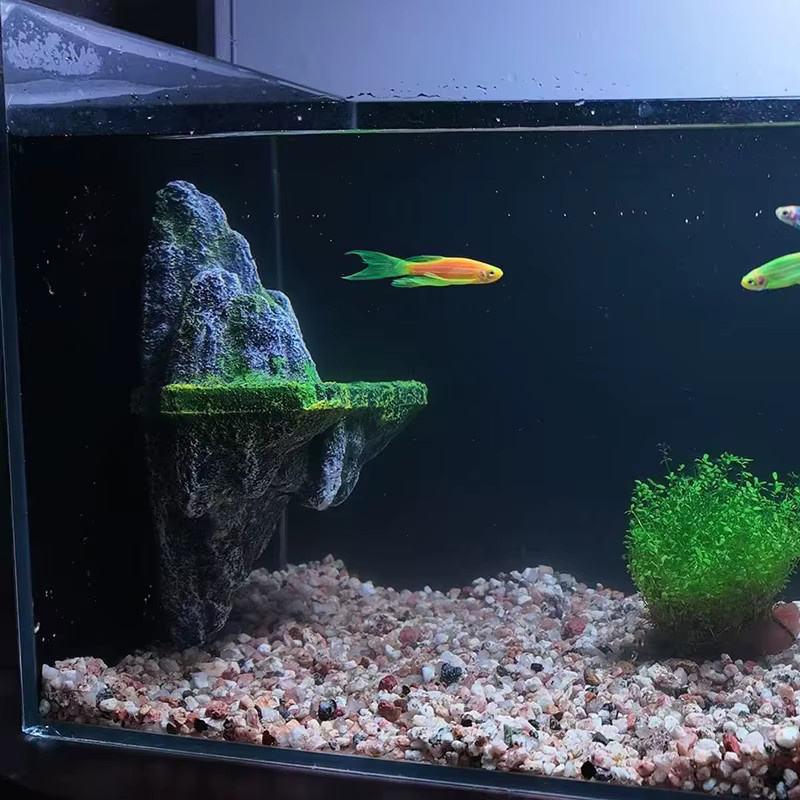 Otmagelu Aquarium Dekostein Bimsstein in Grau für die ökologische Aquariengestaltung - Bild 3