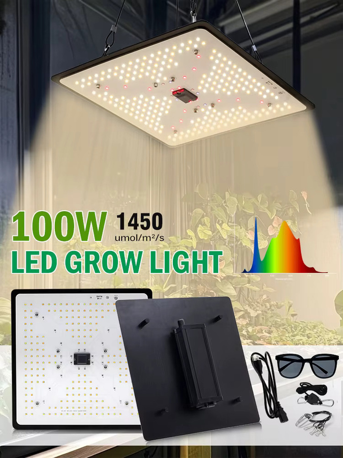 GRAXGROW LED Pflanzenlampe High Energy Vollspektrum-Wachstum, 100 W, Schwarz, dimmbar, wasserdicht, RGBWW Quantenbrett für Hydrokultur und Gewächshaus - Bild 7