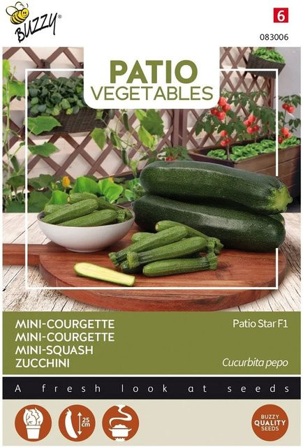 Buzzy Patio Veggies Zucchini Patio Star F1 Samen für Balkon und Gemüsegarten, 6 Stück - Bild 1