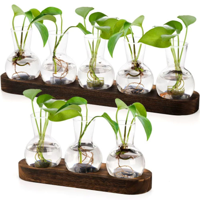 Moderne Pflanzenterrarium-Vermehrungsstation aus Glas und Holz mit flaschenförmigen Vasen in Transparent und Braun - Bild 4