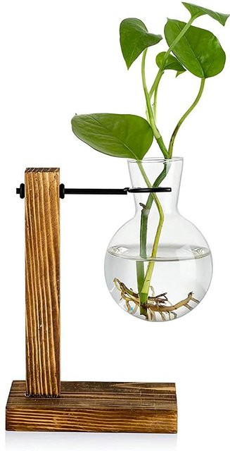 Tooarts Glasvase mit Holzständer in Transparent und Green für Schreibtisch und Innendekoration - Bild 1
