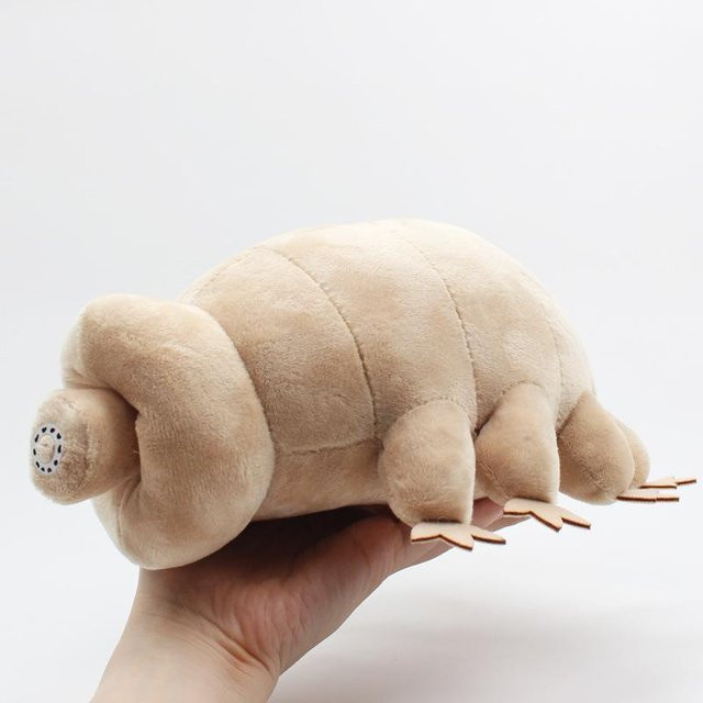Bärtierchen Plüschtiere, Tiefseekreaturen, 25cm, ab 14 Jahren - Bild 1