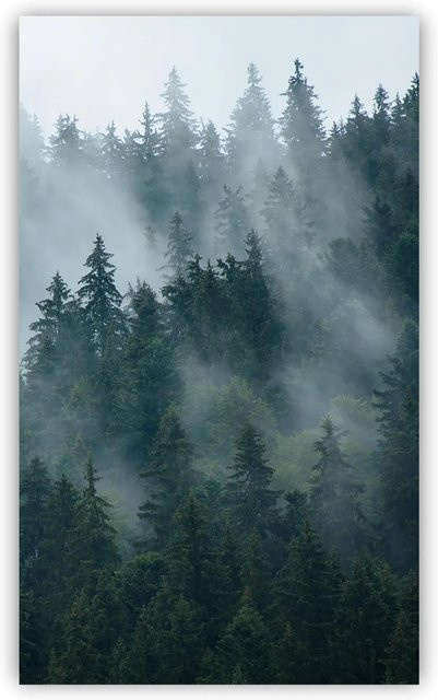 Walllux Duschrückwand Tannenwald in Holzoptik aus Alu-Verbund, Farbe: Grün, B/H: 125 x 210 cm, Stärke: 3 mm - Bild 1