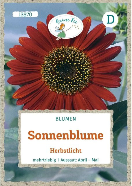 Grüne Fee Sonnenblume Herbstlicht Saatgut - Bild 1