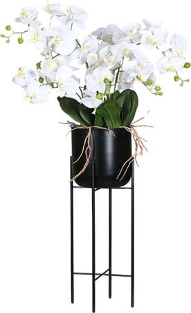 Künstliche Orchidee Harah von Aplanta mit Real Touch Effekt im schwarzen Metalltopf, Höhe: 100 cm