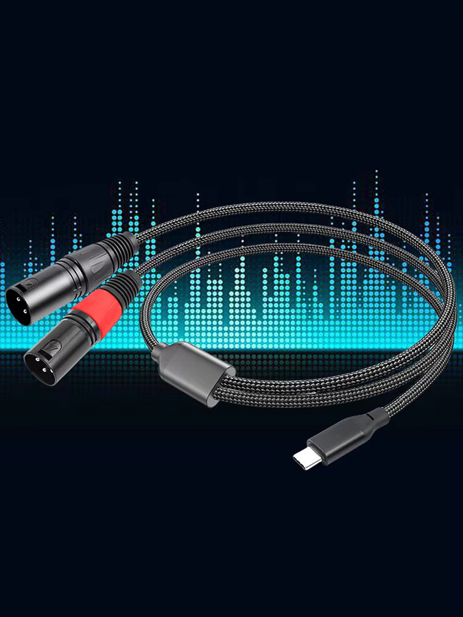ALLOYSEED USB-C auf Dual XLR Audiokabel in Schwarz für iPad, Laptop und Handy - Bild 4