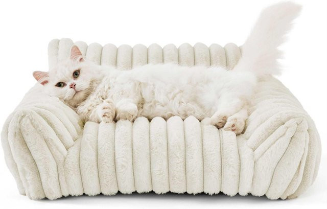 Canaryy Hundecouch mit Rückenlehne und erhöhten Rändern, weiches Haustiersofa aus Samt in Weiß - Bild 1