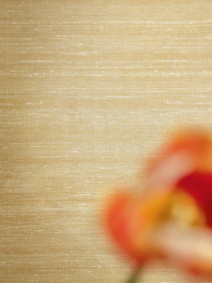 Élitis Wallpaper Kosa Silk VP 928 13, abstrakte Vinyltapete in Beige mit Mid-Century-Design und mattem Finish, waschbar - Bild 1