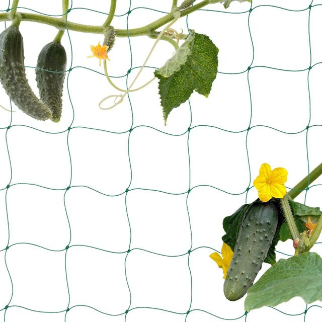 Relaxdays Ranknetz aus Polyethylen in Grün, großmaschig, B: 1000 cm, H: 200 cm - Bild 1