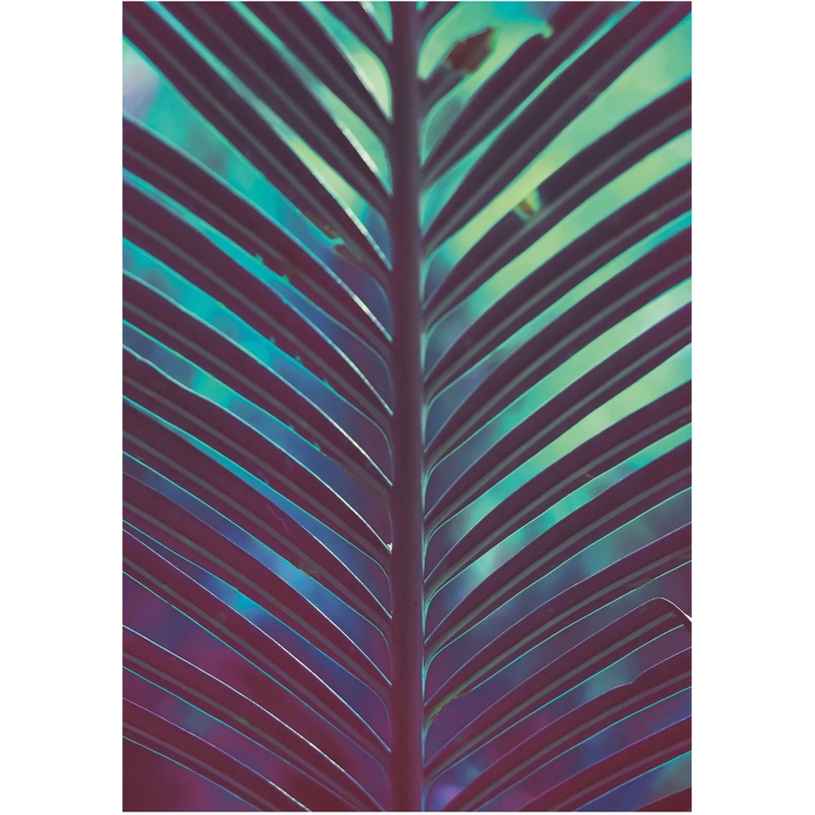 Komar Wandbild Hide Paper Poster Multicolor B: 50 cm, H: 70 cm - Bild 2